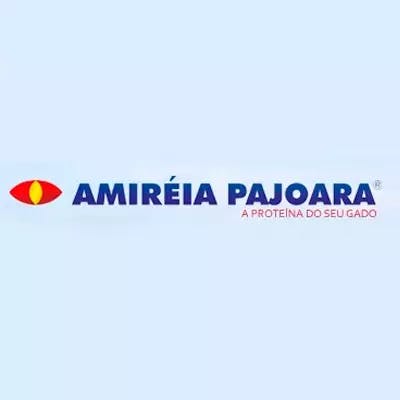Amiréia Pajoara