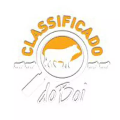 Classificado do Boi