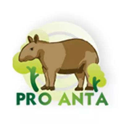 ProAnta MS
